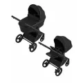 Коляска 2 в 1 ANEX Flo Lungo fl-05c (2 коробки)