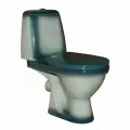 Унитаз компакт Rosa Премьер 4620008191157 Зеленый декор с бачком и сиденьем