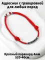 Украшение. Тихий адресник с гравировкой. Жетон 50мм на шнурке 4мм. Красный S