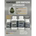 Комплект для покраски NISSAN, код 2J2, TWNIS00046, GREEN, базовая автомобильная эмаль 250 мл, лак 2K 250 мл с отвердителем, разбавитель 125 мл, FixPaint Pro