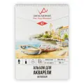 Альбом для акварели VISTA-ARTISTA ALWG-02 200 г/м2 30 х 40 см на спирали 20 л. гознак тисненая