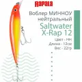 Воблер для рыбалки RAPALA Saltwater X-Rap 12, 12см, 22гр, цвет HH, нейтральный