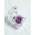 Роза в колбе шкатулке живая стабилизированная подарочная