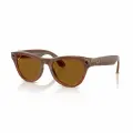 Умные очки Ray-Ban Skyler, поляризованные линзы Polar Brown, оправа Shiny Caramel
