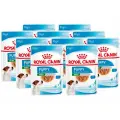 Корм влажный Royal Canin Mini Puppy для щенков маленьких пород в соусе пауч, 85 гр х 10 шт