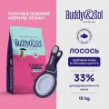 Корм для взрослых собак средних и крупных пород сухой Buddy&Sol 10 кг премиум-класса с лососем, для здоровой кожи и шерсти