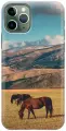 Силиконовый чехол на Apple iPhone 11 Pro / Эпл Айфон 11 Про с рисунком Пастбище