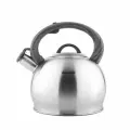 Чайник Esprado Globo, нержавеющая сталь, 2,7 л, со свистком, серебристый