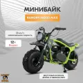 Минибайк Lucky Duck Ranger RB200MAX, 196см³, вариатор, дисковые тормоза, задний амортизатор, зеленый