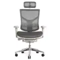 Анатомическое кресло Falto Expert Star HSTM 01-G, сетка серая / каркас серый