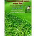 Газон искусственный 1.5 на 6 (высота ворса 9мм) общая толщина 10мм. трава искусственная, декоративная трава, газон декоративный
