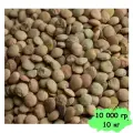 Чечевица зеленая Высший сорт, Вегетарианский продукт, Vegan 10 000 гр, 10 кг