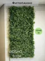 Фитостена из декоративных растений луговые травы в размере 120х60см