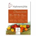 Hahnemuhle Альбом-склейка для акварели Cezanne, 300 г/м2 , 24х32 см, хлопок 100%, среднее зерно, 10 л.