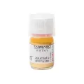 Tarrago краска Краситель Sneakers Paint 503 gold 1 шт. 25 мл золотой