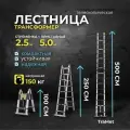 Лестница двухсекционная стремянка телескопическая 2.5+2.5м профессиональная, алюминиевая, приставная, складная, трансформер TraMet