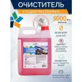 Очиститель следов насекомых и почек деревьев для автомобиля 5л. Rossvik