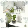 Набор для создания флорариума: форма Скошенный квадрат M, средний