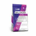 Vitalcan Balanced Cat Kitten 7,5 кг сухой корм для котят с курицей