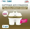 Картридж для фильтра-кувшина BWT Silicate + Magnesium Mineralized Обогащение Магнием и Кремнием 1 шт. для кувшинов BWT PENGUIN/ BWT VIDA/БВТ