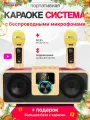 Караоке-система с двумя беспроводными микрофонами K-08 gold