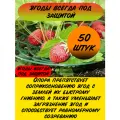Опора для клубники зеленая 50 шт