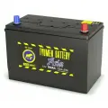 Аккумулятор автомобильный TYUMEN BATTERY ASIA 95 А/ч 750 А прям. пол. Азия авто (302х172х223) с бортиком