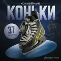 Коньки хоккейные Winter Star Advanced Way, размер 37, цвет черный, желтый