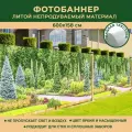Фотобаннер Мечта для стен и сплошных заборов 600x158 см, Хвойный сад / Фотофасад