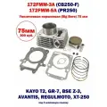 ЦПГ поршневая 172FMM увеличенная Big Bore 75 мм 300 куб.