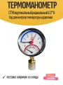 Термоманометр СТМ вертикальный радиальный 1/2 6 бар для контроля температуры и давления