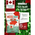 Белый клевер семена, ползучий низкорослый 5 кг