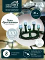 Электрогирлянда нить Бриллианты», 10 м, 100 сверхъярких холодных белых светодиодов, для использования внутри помещений.