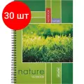 Комплект 30 штук, Тетрадь общая Attache,120л, клет, А4, спир, обл. мел. карт