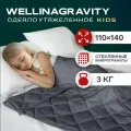 Детское утяжеленное одеяло 3кг 110x140 см WELLINAGRAVITY сенсорное графит