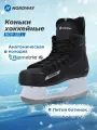 Коньки хоккейные Nordway NDW 550 L SR