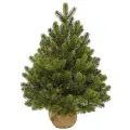 Елка настольная в мешочке Можжевельник 60 см, литая 100%, Triumph Tree, 72216