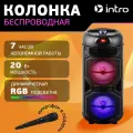 Колонка блютуз беспроводная Intro WZ810 музыкальная большая караоке с микрофоном и радио, Bluetooth 5.0, microSD