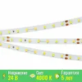 Светодиодная лента Arlight RT-A80-8mm 24V Day4000 (6 W/m, IP20, 2835, 50m) (Arlight, высок. эфф.150 лм/Вт) 024524(2)