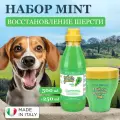 Выгодный набор шампунь для собак и маска Mint с протеинами и экстрактом шелка эффективно восстанавливает шерсть, Iv San Bernard, Италия, 500+250 мл