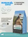 Живая Сила сухой полнорационный беззерновой корм с лососем и гречей для взрослых собак крупных и средних пород, крупная гранула, 2,5кг