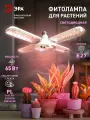 Фитолампа для растений светодиодная ЭРА GREEN LINE ФИТО-65W-PL-E27-GR 5-ти лепестковая розового свечения 65 Вт Е27