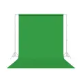 Фон бумажный 218x1100 см цвет зеленый хромакей Savage (46-86) Tech Green