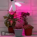 Фитолампа светодиодная Е27 220В 36Вт 4 лепестка красно-синий спектр розовый свет