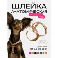 Шлейка для кошек и собак мелки пород анатомическая размер XXS, светоотражающая, коричневая