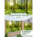 Фотосетка Мечта для декора 300x158 см, Солнце в лесу
