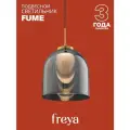 Подвесной светильник Freya Fume FR5399PL-L4BS1