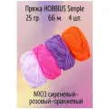 Пряжа Hobbius Simple 100% акрил 4 шт.х25г 66м №03 сиреневый-розовый-оранжевый-фиолетовый
