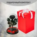 Стабилизированные цветы в стекле, Роза в колбе живая Премиум черный 27x16,5 см c подарочной коробкой красной, GIFT4YOU