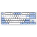 Игровая клавиатура Red Square Alumix TKL SE Cloudy (RSQ-20054)